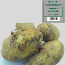 PATATE VAPEUR : BAC DE 20KG