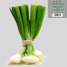 CIBOULETTE ou OIGNON VERT : 1kg