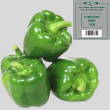 POIVRON VERT : 1kg