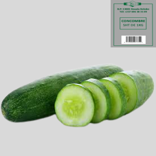 CONCOMBRE : 1kg