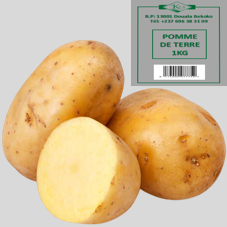 POMME DE TERRE : 1kg