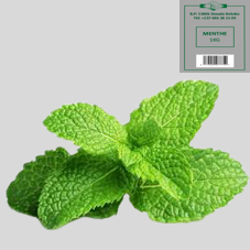 MENTHE : 1kg