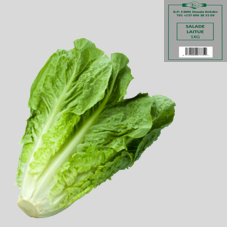 SALADE LAITUE : 1kg