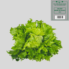SALADE REINE DE GLACE : 1kg